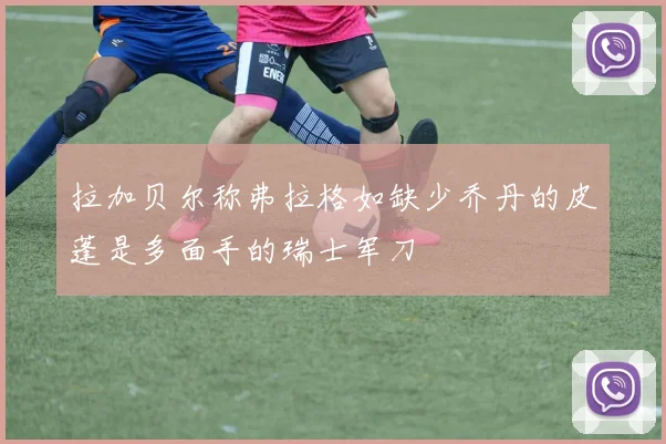 拉加贝尔称弗拉格如缺少乔丹的皮蓬是多面手的瑞士军刀
