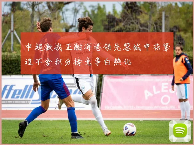 中超激战正酣海港领先蓉城申花紧追不舍积分榜竞争白热化