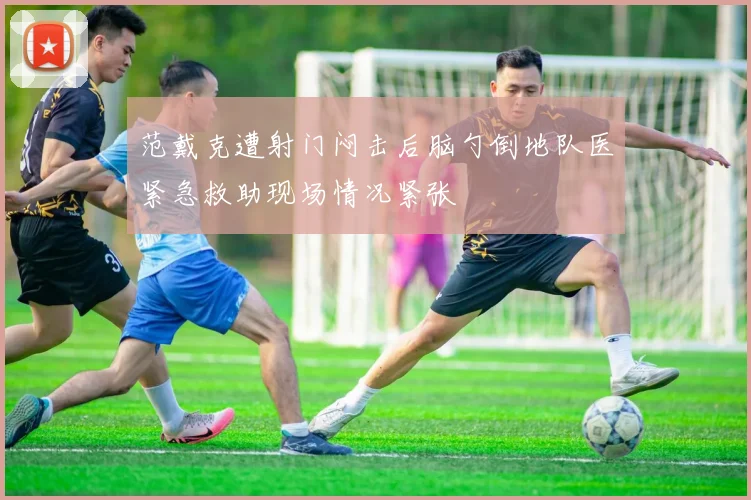 范戴克遭射门闷击后脑勺倒地队医紧急救助现场情况紧张