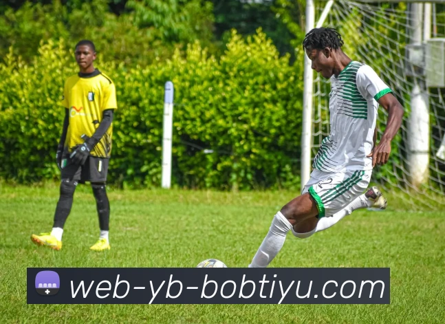 BOB体育发展历程